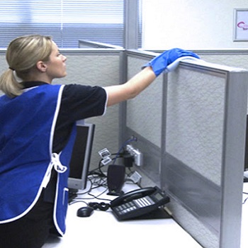 Servicio de limpieza profesional 13